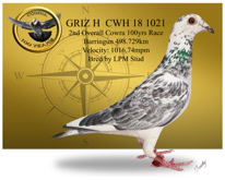 2nd Overall Cowra 100yrs Race Sept 2018